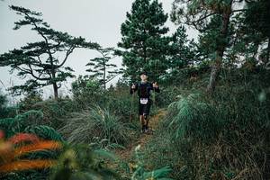 BIB: 
                            <button type="button" onclick="openModal(25260346)" class="btn btn-primary btn-sm float-right btn-popup" data-toggle="modal" data-target=".modal-high-quality">
                        <i class="fas fa-shopping-cart"></i> Add to Cart
                    </button>
                                            <button type="button" onclick="isThisMe(25260346, true)" class="btn btn-success btn-sm float-right btn-popup btn-isme hidden" data-toggle="tooltip" data-placement="bottom" title="นี่คือรูปของคุณใช่ไหม คลิกที่นี่เพื่อเอาเข้าอัลบั้ม">
                        <i class="fas fa-plus"></i> Add to album
                    </button>
                    <button type="button" onclick="isThisMe(25260346, false)" class="btn btn-warning btn-sm float-right btn-popup btn-isnotme hidden">
                        <i class="fas fa-ban"></i> Remove from album
                    </button>